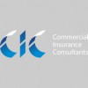 C I C Insurance Services