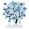 Parkway Insurance Services
