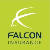 Falcon Insurance