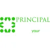Principal Insurance